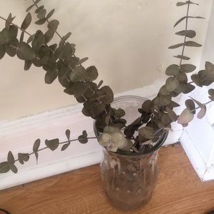 Meet your Posher, Betsy